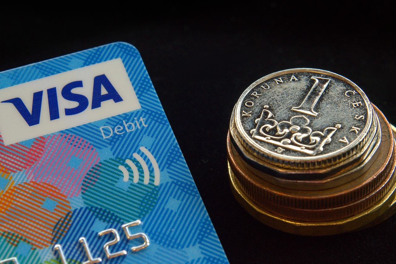 미국 visa 신청